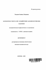 Морфология тимуса при воздействии бальнеологических факторов (экспериментально-морфологическое исследование) - тема автореферата по медицине
