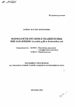 Морфология органов и тканей птицы при заражении Ascaridia galli и Escherichia coli - тема автореферата по ветеринарии