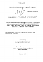 Биологические особенности структурного формирования мясной продуктивности овец кыргызской тонкорунной породы в постнатальном онтогенезе - диссертация, тема по ветеринарии