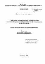 Структурно-функциональная характеристика вилочковой железы оренбургской пуховой козы в норме и при патологии - диссертация, тема по ветеринарии