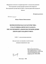 Морфологическая характеристика гематоэнцефалического барьера при экспериментальном воспроизведении лихорадки Западного Нила - диссертация, тема по медицине