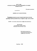 Морфофункциональная характеристика печени оренбургской пуховой козы в норме и при патологии - диссертация, тема по ветеринарии