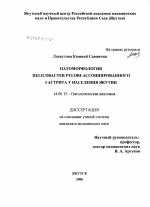 Патоморфология Helicobacter pylori-ассоциированного гастрита у населения Якутии - диссертация, тема по медицине