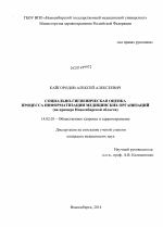 Социально-гигиеническая оценка процесса информатизации медицинских организаций (на примере Новосибирской области) - диссертация, тема по медицине