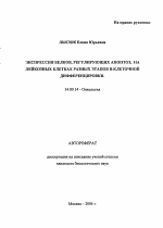 Экспрессия белков, регулирующих апоптоз, на лейкозных клетках разных этапов В-клеточной дифференцировки - тема автореферата по медицине