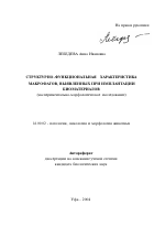 Структурно-функциональная характеристика макрофагов, выявленных при имплантации биоматериалов - тема автореферата по ветеринарии