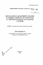 Воспаление молочной железы в период запуска и сухостоя и перинатальная патология у коров - тема автореферата по ветеринарии