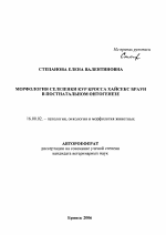 Морфология селезенки кур кросса Хайсекс браун в постнатальном онтогенезе - тема автореферата по ветеринарии