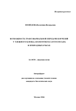 Возможность трансовариальной передачи боррелий у таежного клеща (Ixodes Persulcatus Schulze) в природных очагах - тема автореферата по медицине