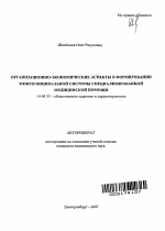 Организационно-экономические аспекты в формировании межмуниципальной системы специализированной медицинской помощи - тема автореферата по медицине