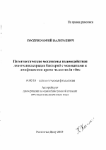 Патогенетические механизмы взаимодействия липополисахаридов бактерий с моноцитами и лимфоцитами крови человека in vitro - тема автореферата по медицине