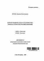 Морфофункциональная характеристика гемобластозов в Республике Мордовия - тема автореферата по медицине