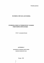 Функциональные нарушения почек у больных гипертонической болезнью - тема автореферата по медицине