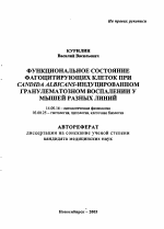 Функциональное состояние фагоцитирующих клеток при Candida albicans-индуцированном гранулематозном воспалении у мышей разных линий - тема автореферата по медицине