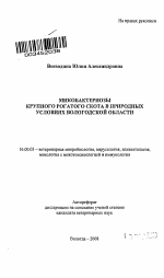 Микобактериозы крупного рогатого скота в природных условиях Вологодской области - тема автореферата по ветеринарии