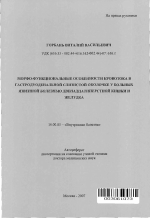 Морфо-функциональные особенности кровотока в гастродуоденальной слизистой оболочке в больных язвенной двенадцатиперстной кишки и желудка - тема автореферата по медицине