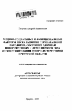 Медико-социальные и функциональные факторы риска развития перинатальной патологии, состояние здоровья новорожденных и детей первого года жизни у жительниц северных территорий Иркутской области - тема автореферата по медицине