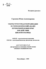 Ультраструктурная реорганизация и стереологический анализ печеночной дольки крыс при действии циклофосфамида - тема автореферата по медицине