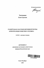 Сравнительная анатомия щитовидной железы млекопитающих животных и человека - тема автореферата по медицине