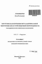 Хирургическая коррекция интраабдоминальной гипертензии при острой кишечной непроходимости (экспериментально-клиническое исследование) - тема автореферата по медицине