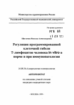 Регуляция программированной клеточной гибели Т-лимфоцитов человека in vitro в норме и при иммунопатологии - тема автореферата по медицине