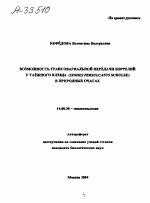 ВОЗМОЖНОСТЬ ТРАНСОВАРИАЛЬНОЙ ПЕРЕДАЧИ БОРРЕЛИЙ У ТАЕЖНОГО КЛЕЩА (IXODESPERSULCATUS SCHULZE) В ПРИРОДНЫХ ОЧАГАХ - тема автореферата по медицине