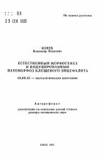 Естественный морфогенез и индуцированный патоморфоз клещевого энцефалита - тема автореферата по медицине