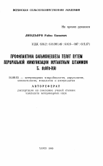 Профилактика сальмонеллеза телят путем пероральной иммунизации мутанным штаммом S. dublin-160 - тема автореферата по ветеринарии