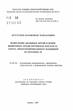 Выявление больных бруцеллезом животных среди крупного рогатого скота, иммунизированного вакциной из штамма 19 - тема автореферата по ветеринарии