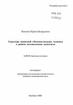 Структура мышечной оболочки желудка человека в раннем постнатальном онтогенезе - тема автореферата по медицине