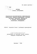 Социально-экономическое обоснование первичной медико-социальной помощи жителям сельской местности в период формирования рыночных отношений - тема автореферата по медицине