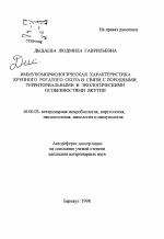 Иммуноморфологическая характеристика крупного рогатого скота в связи с породными, территориальными и экологическими особенностями Якутии - тема автореферата по ветеринарии