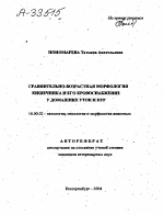 СРАВНИТЕЛЬНО-ВОЗРАСТНАЯ МОРФОЛОГИЯ КИШЕЧНИКА И ЕГО КРОВОСНАБЖЕНИЕ У ДОМАШНИХ УТОК И КУР - тема автореферата по ветеринарии