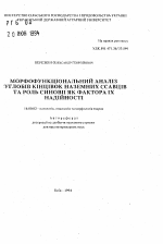 Морфофункцiональний аналiз углобiв кiнцiвок наземних ссавцiв та роль синовi як фактора iх надiйностi - тема автореферата по ветеринарии