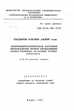 Макромикроскопическая анатомия бронхиальных ветвей блуждающих нервов человека на разных этапах онтогенеза - тема автореферата по медицине