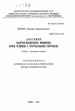 Реферат: Анатомия и физиология мочевой системы человека