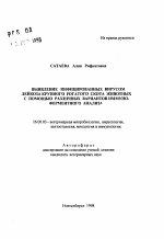 Выявление инфицированных вирусом лейкоза крупного рогатого скота животных с помощью различных вариантов иммуноферментного анализа - тема автореферата по ветеринарии