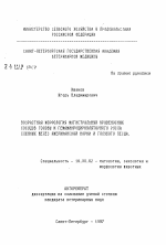 Возрастная морфология магистральных кровеносных сосудов головы и гемамикроциркуляторного русла слюнных желез американской норки и голубого песца - тема автореферата по ветеринарии