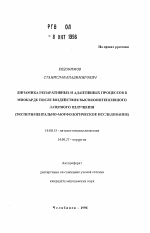 Динамика репаративных и адаптивных процессов в миокарде после воздействия высокоинтенсивного лазерного излучения - тема автореферата по медицине