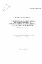 Соединительнотканный остов поднижечелюстной слюнной железы человека в пре- и постнатальном онтогенезе - тема автореферата по медицине