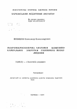 Макроскопическая анатомия парагиппокампальной извилины головного мозга человека - тема автореферата по медицине