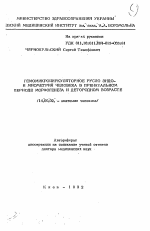 Гемомикроциркуляторное русло эндо- и миометрия человека в пренатальном периоде морфогенеза и детородном возрасте - тема автореферата по медицине