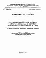 МАКРО-МИКРОМОРФОЛОГИЯ НЕРВНОГО АППАРАТА ПИЩЕВОДА И ЖЕЛУДКА ДОМАШНИХ МЛЕКОПИТАЮЩИХ И ПТИЦ - тема автореферата по ветеринарии