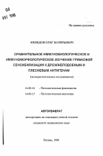 Сравнительное иммунобиологическое и иммуноморфологическое изучение грибковой сенсибилизации к дрожжеподобным и плесневым антигенам - тема автореферата по медицине