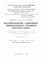 Патоморфология атипичного микробактериоза крупного рогатого скота - тема автореферата по ветеринарии