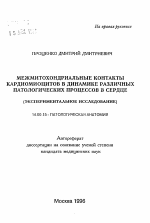 Межмитохондриальные контакты кардиомиоцитов в динамике различных патологических процессов в сердце (экспериментальное исследование) - тема автореферата по медицине