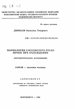 Морфология сосудистого русла почки при охлаждении (экспериментальное исследование) - тема автореферата по медицине