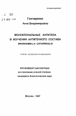 Моноклональные антитела в изучении антигенного состава BRANHAMELLA CATARRHALIS - тема автореферата по медицине