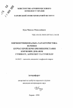 Морфофункциональная характеристика печени цыплят-бройлеров при использовании кормовых добавок гумината, аэросила и гумисила - тема автореферата по ветеринарии