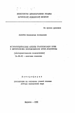 Морфофункциональные аспекты трансплантации почки с хирургическим восстановлением путей лимфооттока - тема автореферата по медицине